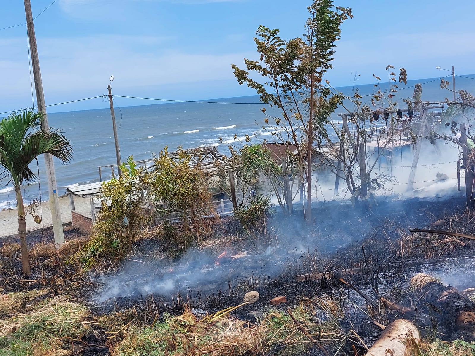 Incendios forestales sin culpables