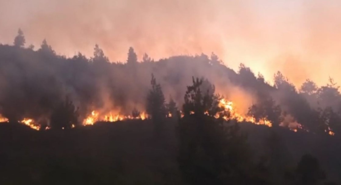 Incendio forestal consume 15 hectáreas de pino por el Podocarpus