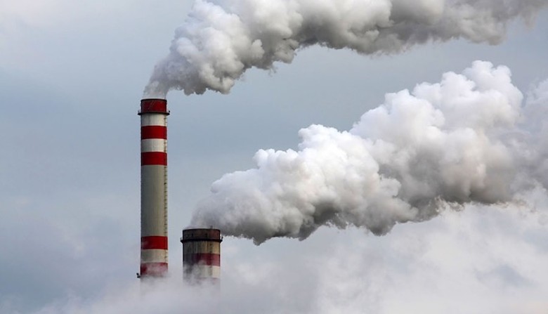 La contaminación por ozono amenaza a plantas y a polinizadores