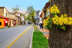 Tecnología digital: Destino industrial de Loja