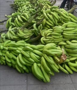 Intermediarios estarían tras el alza en precio del plátano y yuca