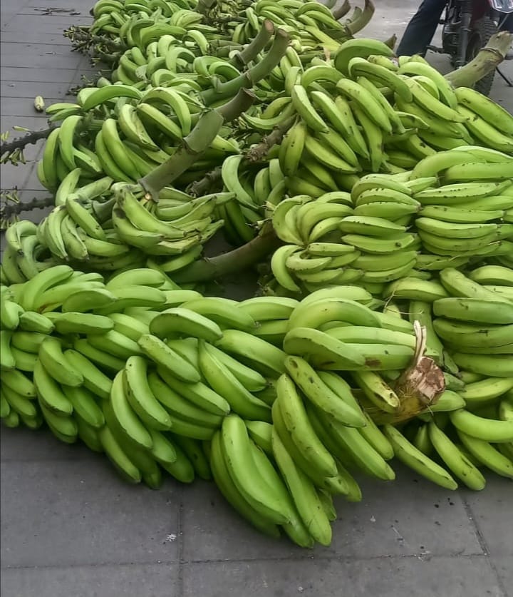 Los comerciantes afirmaron que venden el racimo de plátanos dependiendo el porte.