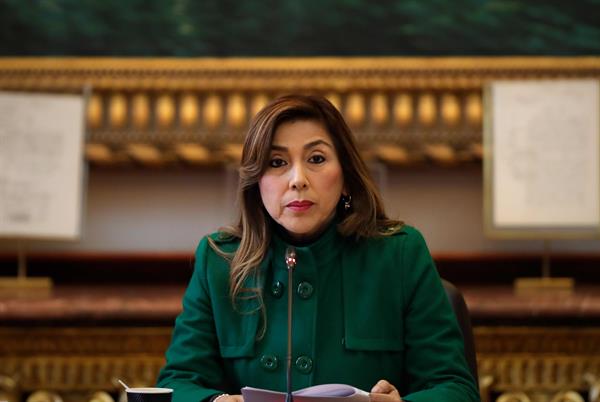 Congreso peruano analiza denuncia contra Pedro Castillo