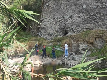 La muerte sería accidental, pues el hombre habría caído desde un árbol ubicado en lo alto de una montaña.