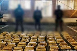 Decomisan 243 paquetes de marihuana en Camarones