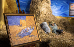 Por $6 es posible adentrarse al mundo de Van Gogh Vivo