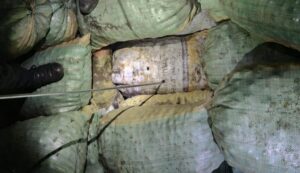 Encuentran 300 kilos de droga camuflados en sacos de papas