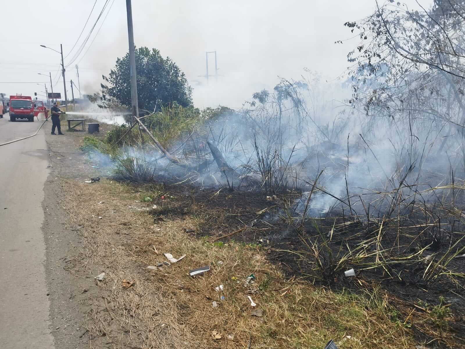 Incendio. A las 12:47 del martes 22 de noviembre de 2o22 se quemaron casi dos hectáreas de terrero.