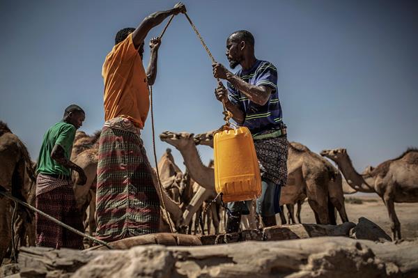 Crisis. En algunas zonas del mundo el abastecimiento de agua ya está en niveles críticos.