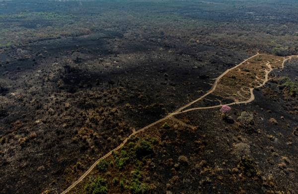 Deforestación en Amazonía brasileña bate récord en octubre y supera todo 2021