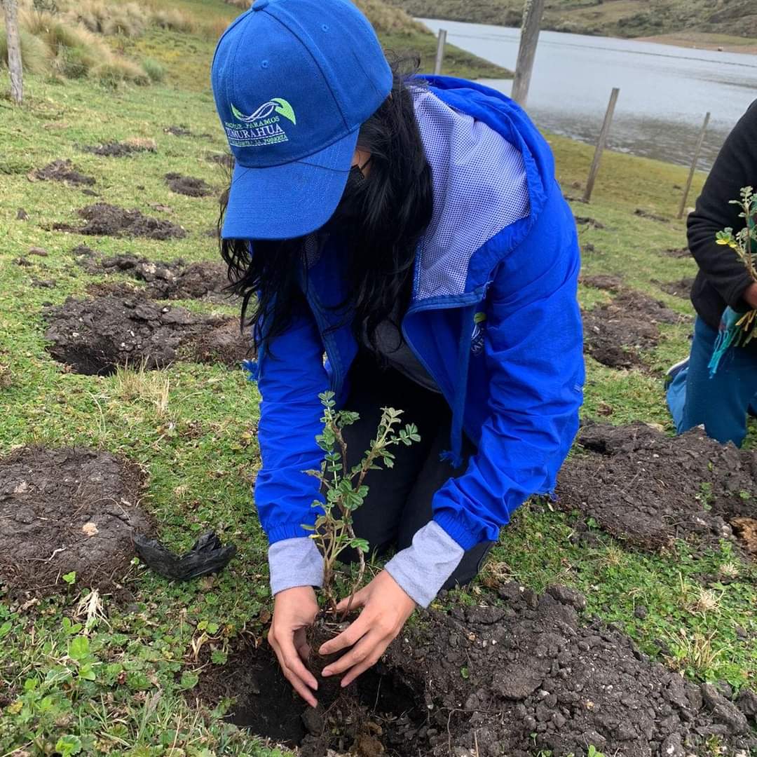 Más de 200 mil árboles se han plantado en Tungurahua en dos años