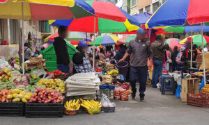 Regulación para el uso de espacios públicos en Ambato sigue aplazada