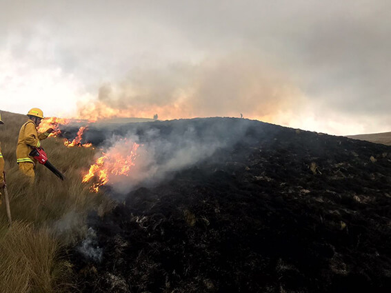 90% de los incendios forestales en Ambato son provocados