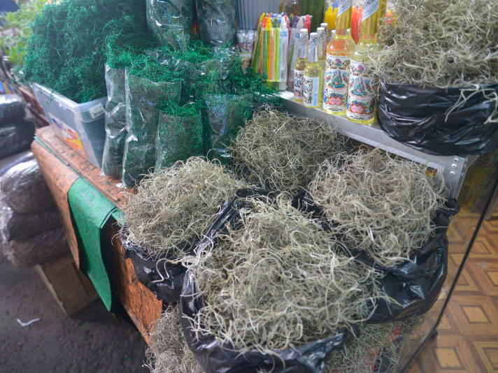 Más de 4 mil dólares de multa por vender musgo