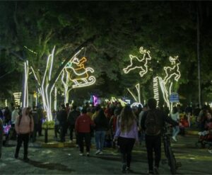 Adornos. El parque Pedro Moncayo y sus calles aledañas lucen una decoración navideña especial.