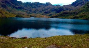 40 años de creación del Parque Nacional Podocarpus