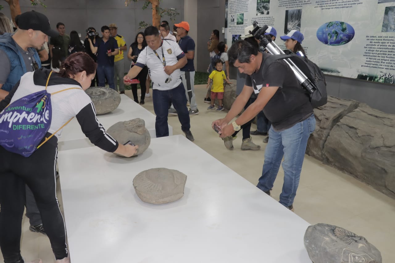 Dinosaurios, museos y más, en el repotenciado Bosque Petrificado de Puyango