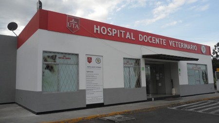 Hospital veterinario de la UTA deja de atender desde este lunes