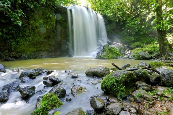 Países donantes se comprometen a llegar a un acuerdo sobre la biodiversidad en la COP15