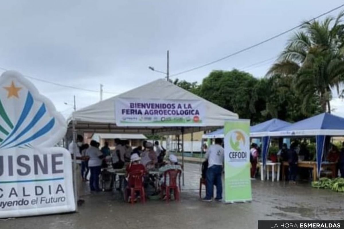 En Muisne hoy viernes se realiza la feria Agroproductiva