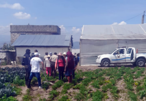 Como contravención se procesa la salvaje golpiza a un menor en Ambato