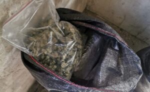 Sentenciado por ser descubierto con 23.700 gramos de marihuana en Pelileo