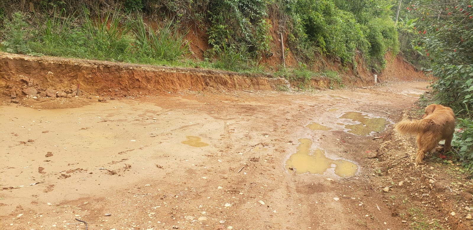 Moradores de Santa Rufina a punto de quedarse incomunicados por el mal estado vial