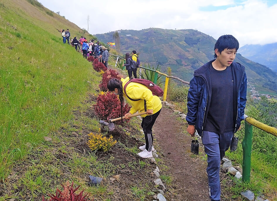 Tungurahua, no hay estadísticas del  índice verde urbano por habitante