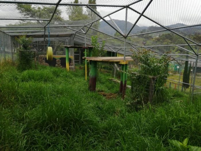 Zoológico de Loja, entre los 4 peores del Ecuador, piden clausura