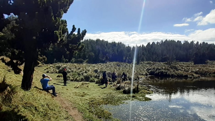 Paisajes. Durante el trayecto se puede observar aves y vegetación endémica. (Foto cortesía)