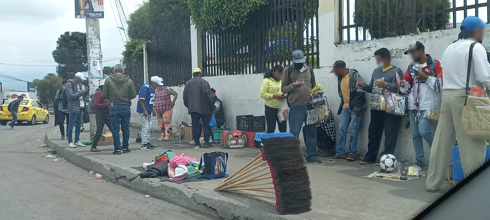 Los comerciantes trasladan a los animales en cartones y cajas de madera.