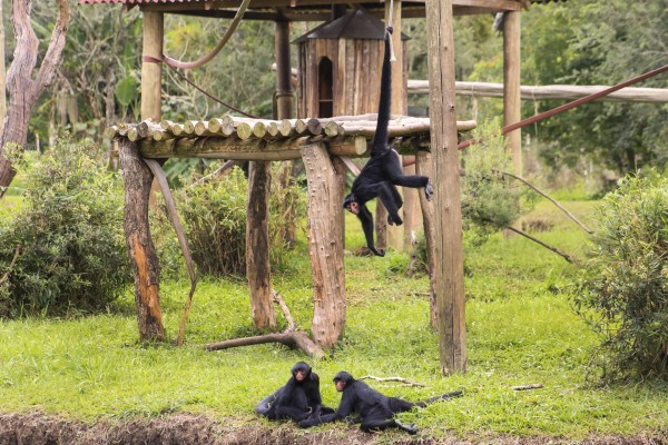 Zoológico de Loja, entre los 4 peores del Ecuador, piden clausura