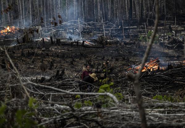 La deforestación de la Amazonía brasileña fue récord en el último año de Bolsonaro