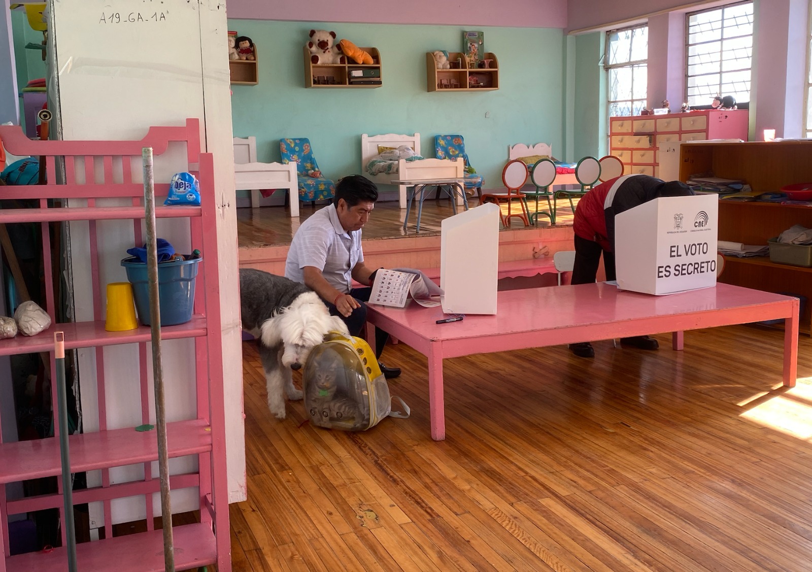 Jorge Yunda votó acompañado de su perro y su gato ¿se puede sufragar junto a las mascotas?