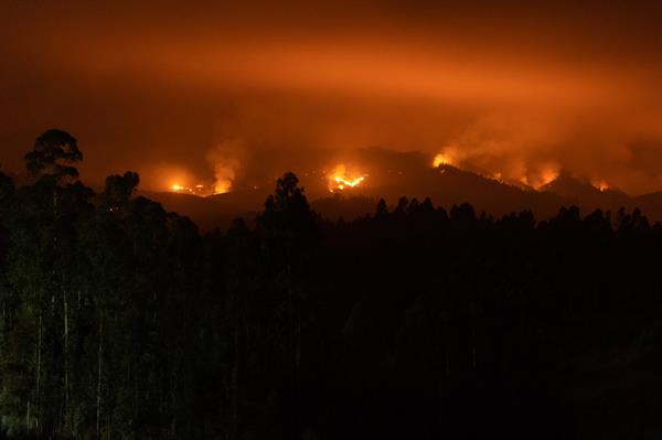 DAÑOS. Casi 300.000 hectáreas han quedado devastadas por el avance del fuego.