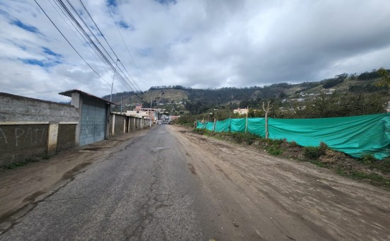 La calle presenta daños en la mitad de la capa asfáltica.