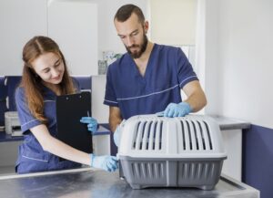 Esterilización de mascotas gratuita en Unamuncho