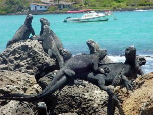 Eliecer Cruz: «Las Galápagos son más ecuatorianas que nunca»