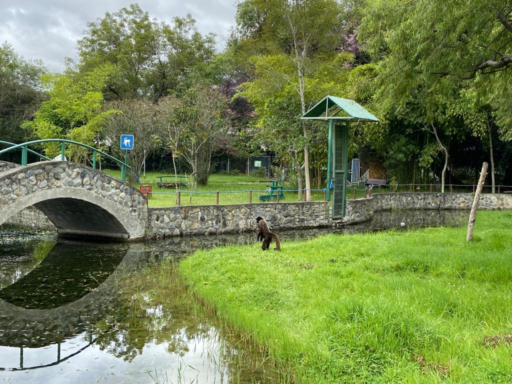 Zoológico de Loja con pocos animales, solo quedan los que son rescatados