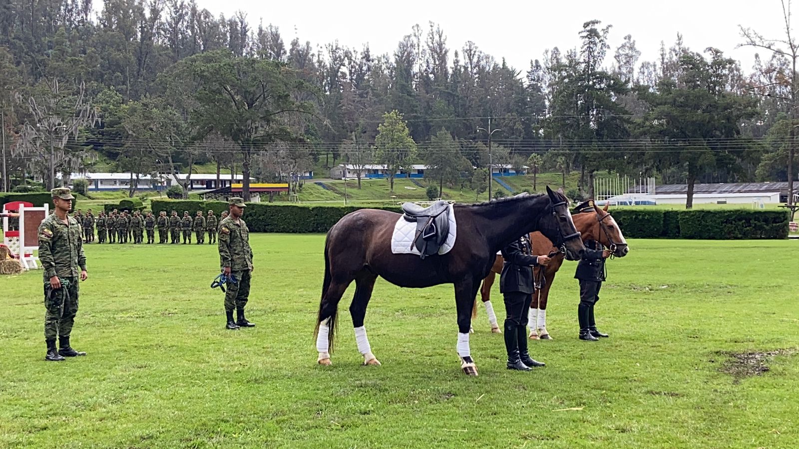 Dos caballos se retiran tras 20 años de servicio al Ejército Ecuatoriano