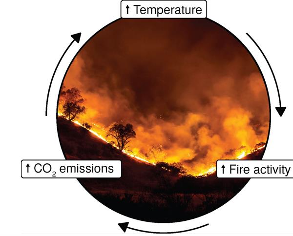Identifican 27 nuevas amenazas que aceleran el cambio climático