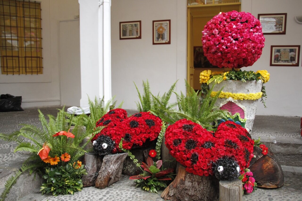 Exposiciones de arte floral y  artes plásticas en Ambato