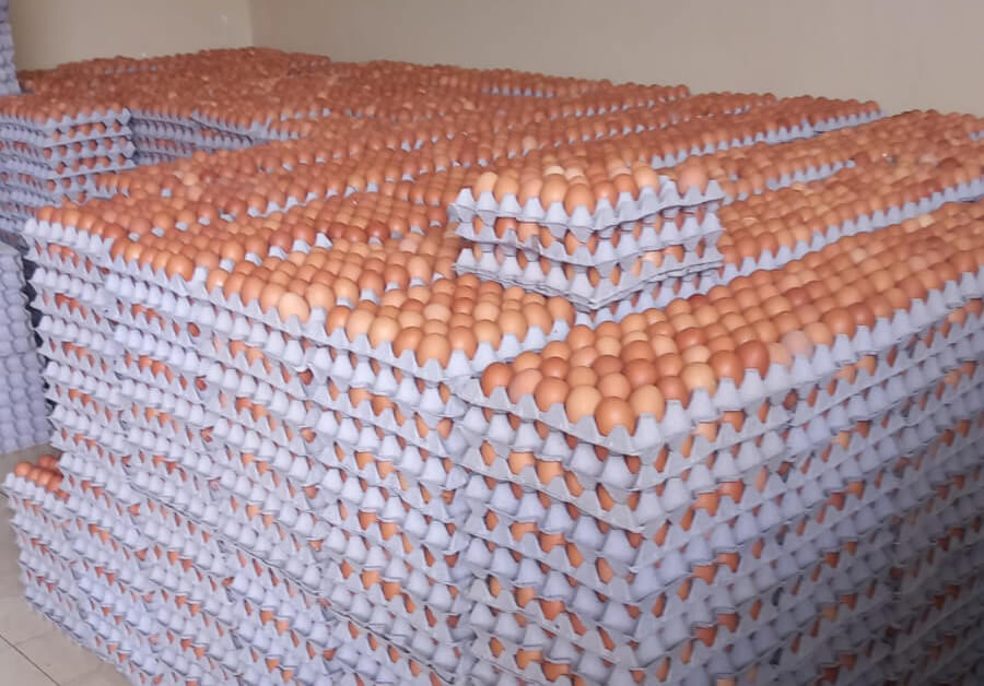 Precio de la cubeta de huevos aumenta por la influenza aviar