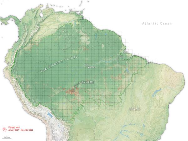 Mapa de la Amazonía en el que se aprecia en rojo la pérdida de bosques observada.