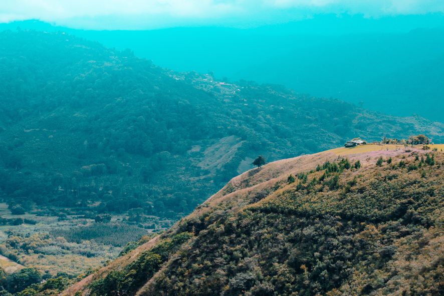 Conservación. En Costa Rica se ha reducido significativamente la deforestación. Pexels