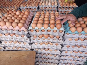 Huevos y pollo suben de precio por gripe aviar