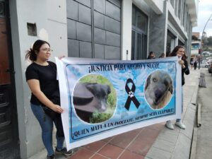 Primer caso de violencia contra animales en ser judicializado en Loja