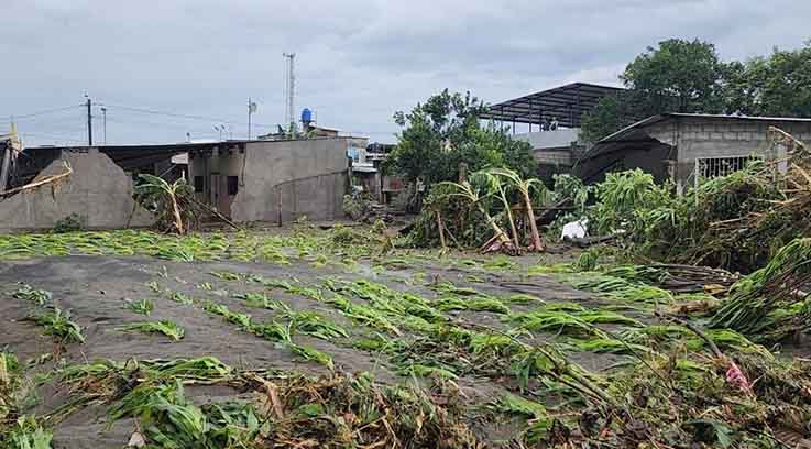 Habitantes de Valle Hermoso pierden ganado y sembríos