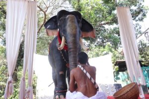 Templo hindú usa un elefante robótico para evitar crueldad con los animales