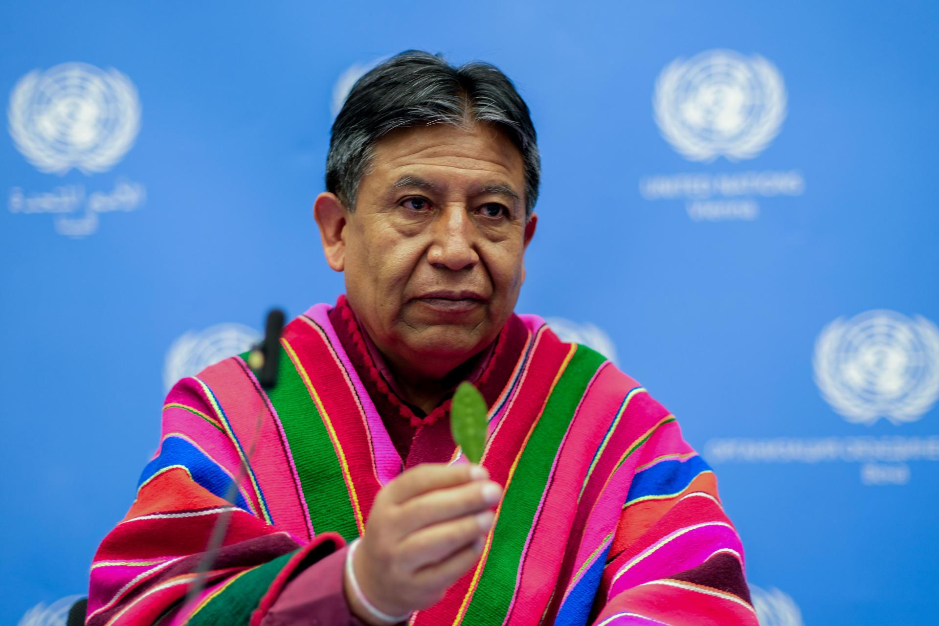 Bolivia buscará en la ONU acabar con la prohibición global de la hoja de coca